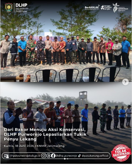 Pelepasan Tukik Penyu Lekang